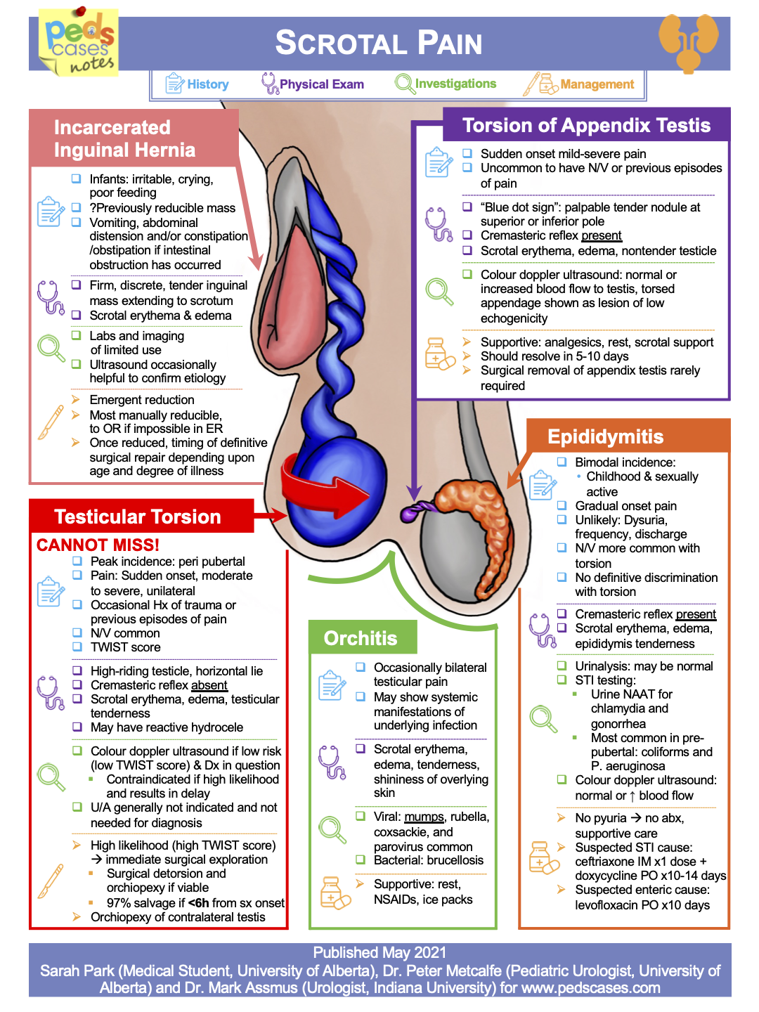 scrotal-pain-pedscases